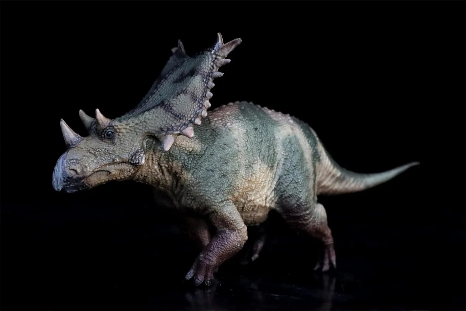 1:35 Scale Chasmosaurus Model Ceratopsidae PVC Animal Figure Dinosaur Collection Realistic Decoration Gift for Adult (Green)