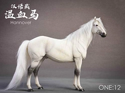 1:12 Scale Germany Hanover Horse Figure Warm-Blood Hanoverian Steed Animal Model Realistic Educational Painted Decoration Collector Gift Adult (White)
