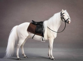 1:12 Scale Germany Hanover Horse Figure Warm-Blood Hanoverian Steed Animal Model Realistic Educational Painted Decoration Collector Gift Adult (White)