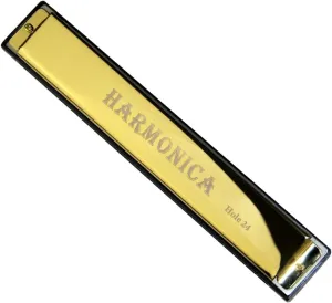 24 Hole Blues Harmonica Metal Piano Suitable For Beginners With Piano Case(Gold)