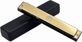 24 Hole Beginner Adult Performance Type C Tune Harmonica With Beautiful Tone(Gold)