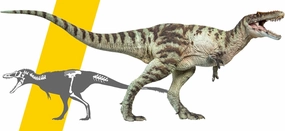 42 A-shu the Qianzhousaurus PNSO Qianzhousaurus Sinensis A-shu Figure Realistic Tyrannosauridae Dinosaur PVC Collector Toys Animal Museum Scientific Art Model Decoration Gift for Adult