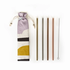 6 pc Eco Friendly Reusable Straw Set - Sunset