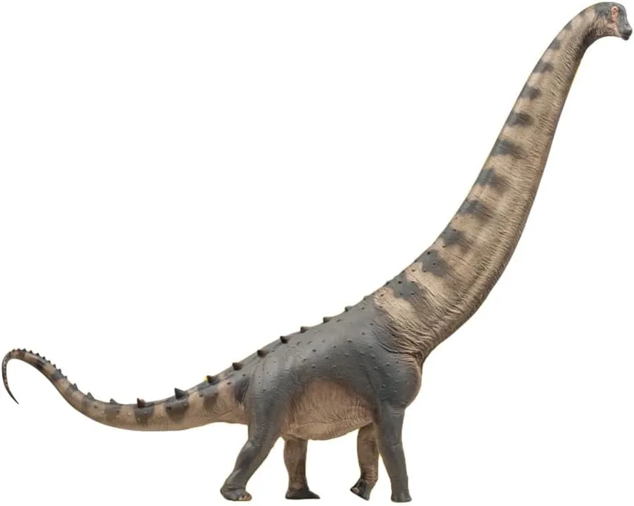 79 Alamosaurus Model Saltasauridae PVC Animal Figure Collection Dinosaur Decor Gift for Adult