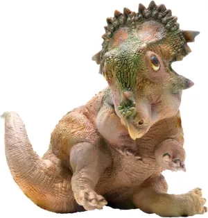 A-qi Young Sinoceratops Figure Ceratopsidae Dinosaur Triceratops Model Realistic PVC Animal Collector Gift