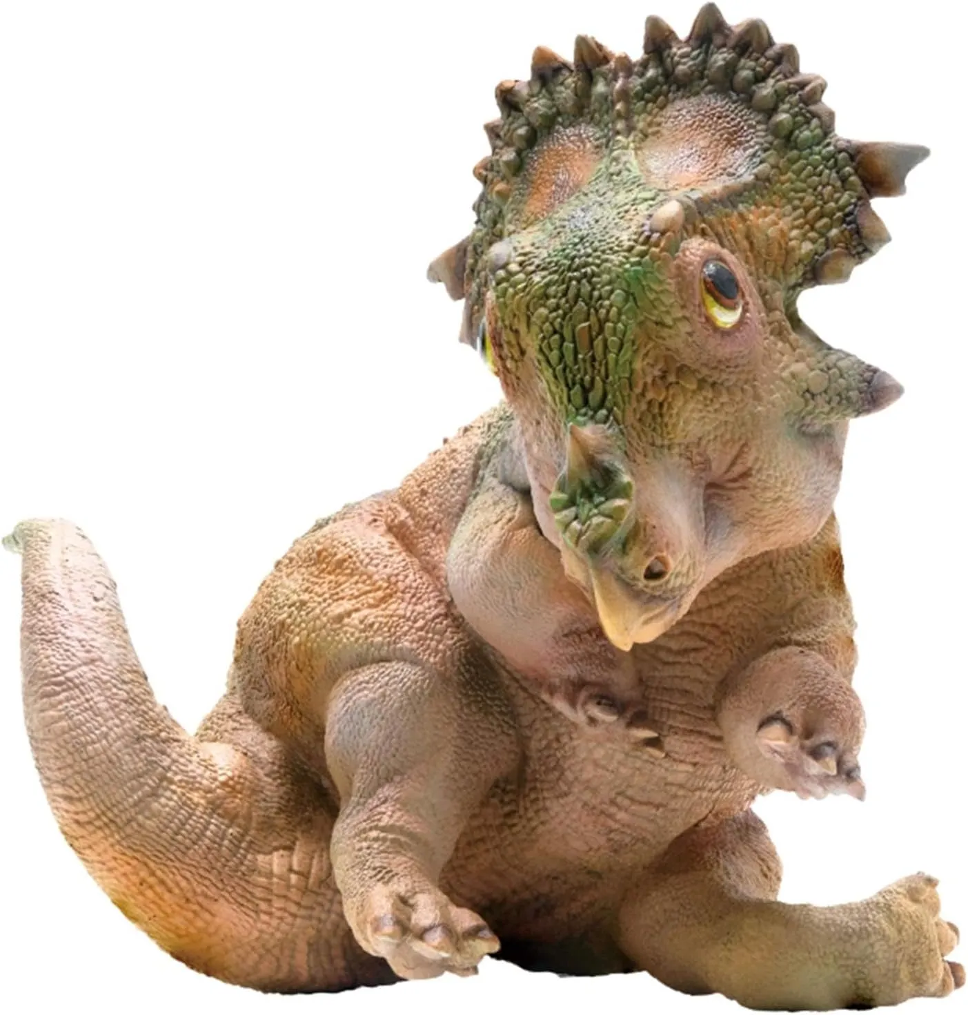 A-qi Young Sinoceratops Figure Ceratopsidae Dinosaur Triceratops Model Realistic PVC Animal Collector Gift
