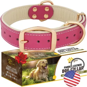ADITYNA Heavy-Duty Pink Leather Dog Collar for Medium Dogs - Soft Padded for Comfort - Girl Dog Collar for Walking, Training, and Hiking