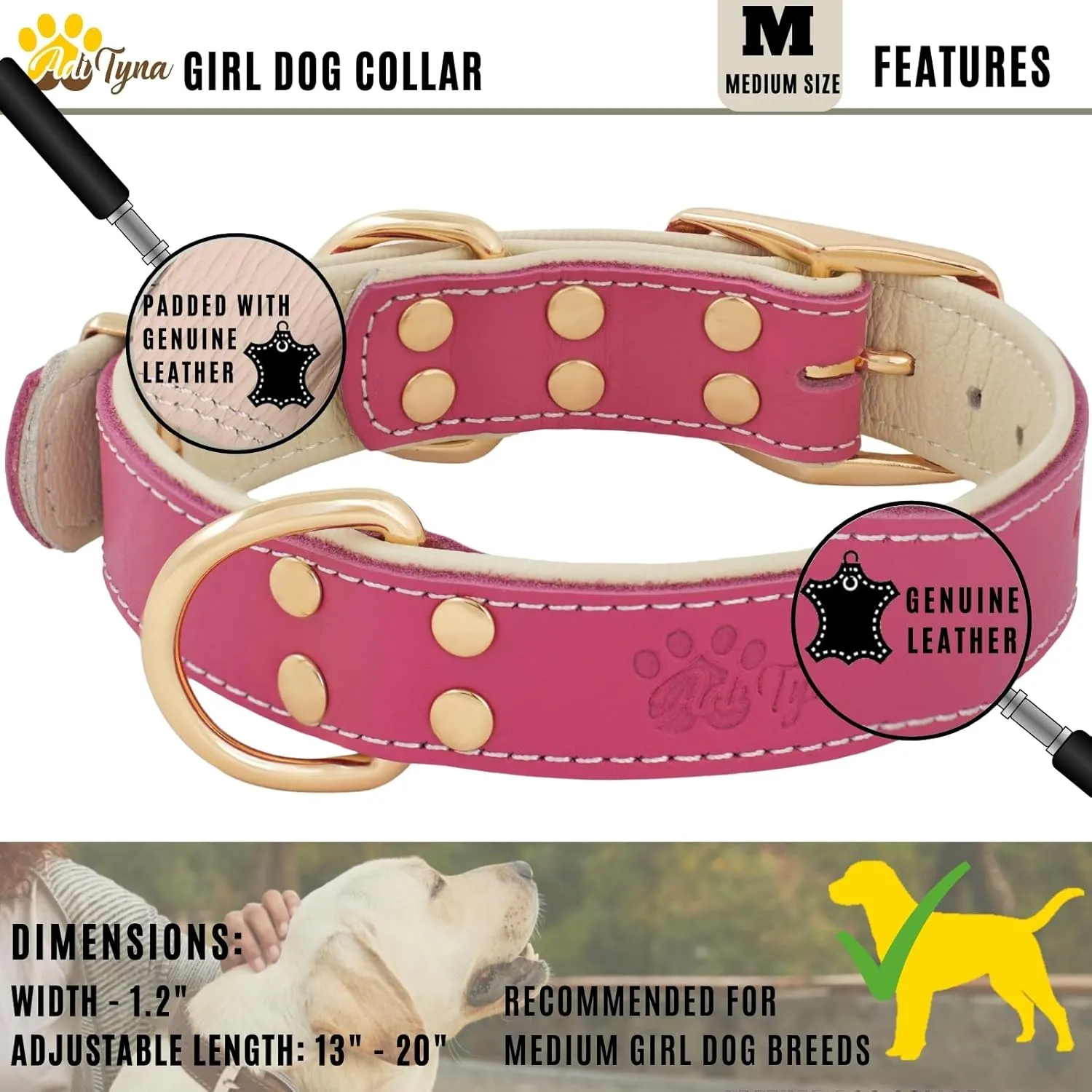 ADITYNA Heavy-Duty Pink Leather Dog Collar for Medium Dogs - Soft Padded for Comfort - Girl Dog Collar for Walking, Training, and Hiking