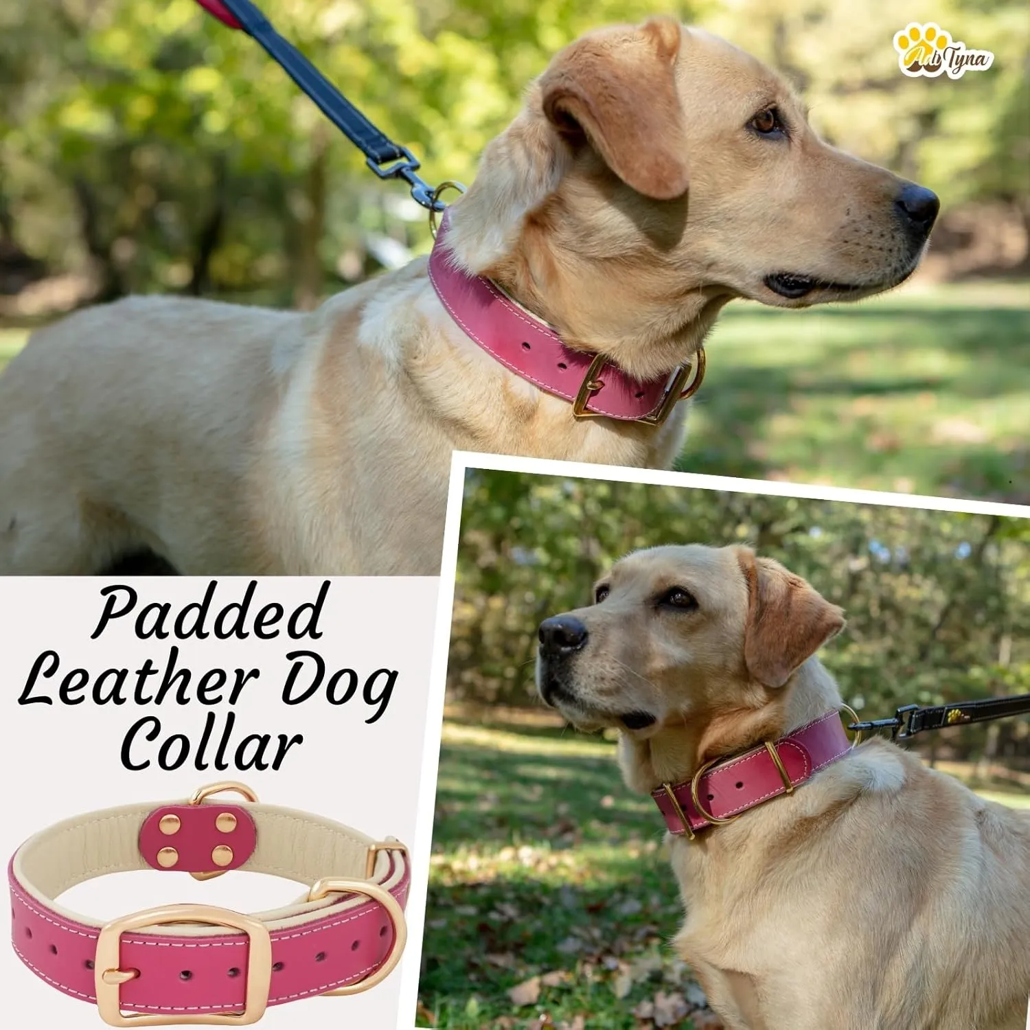 ADITYNA Heavy-Duty Pink Leather Dog Collar for Medium Dogs - Soft Padded for Comfort - Girl Dog Collar for Walking, Training, and Hiking