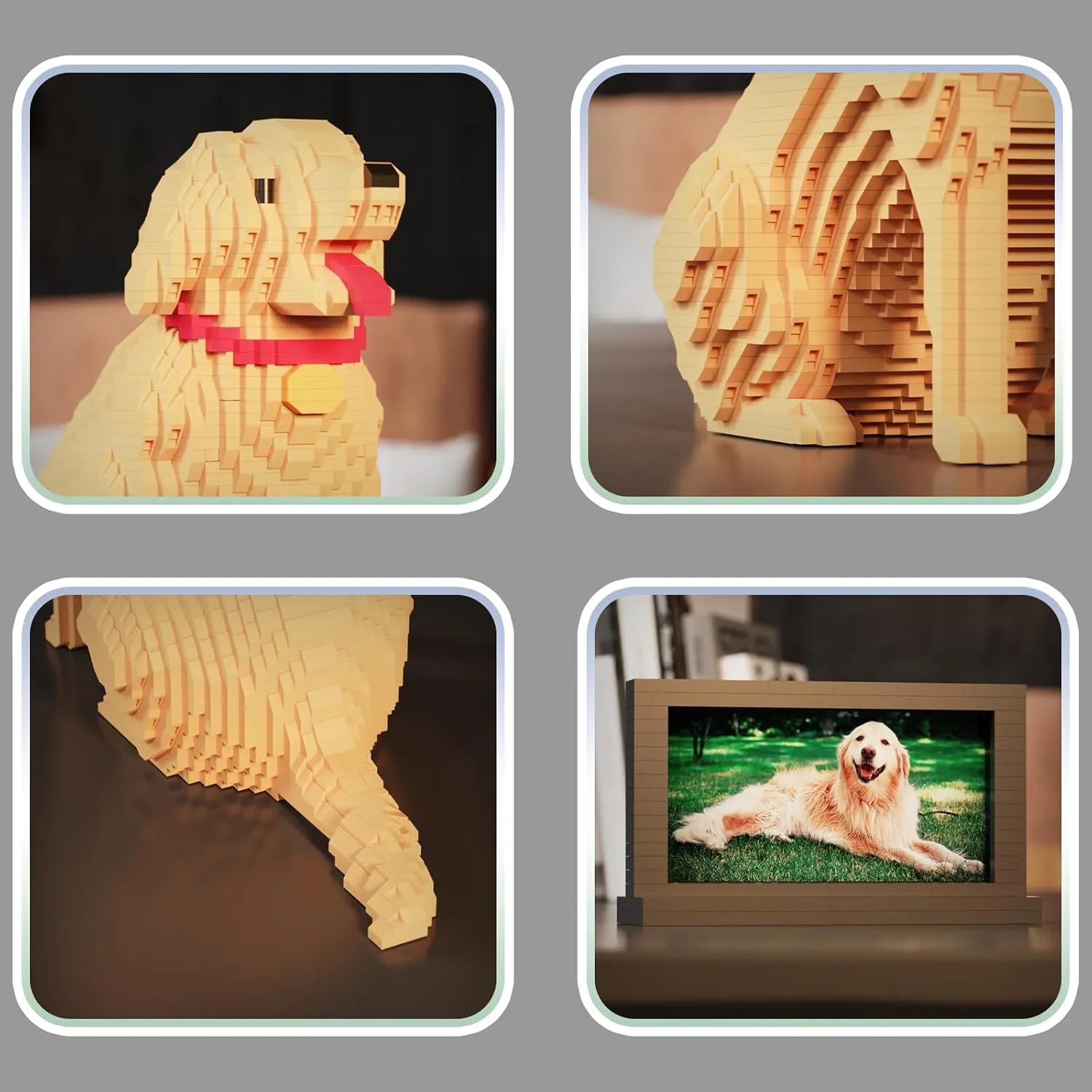 Animal Dog Adorable Pet Golden Retriever Micro Building Blocks Set with Secret Hidden Storage Box Inside! Ideal Toy for Dog Lovers, Kids & Adults.