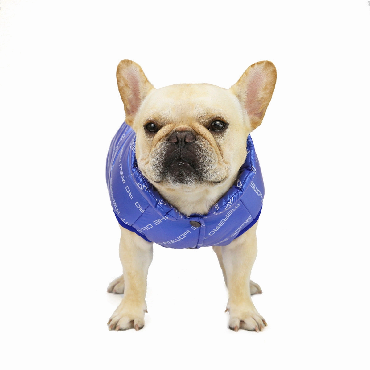 Autumn and winter windproof cotton vest pet clothing