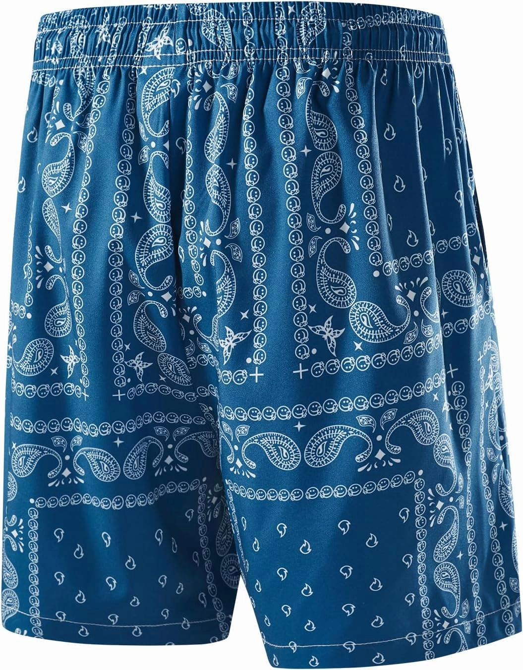 BOOMLEMON Men's Retro Paisley Shorts Mesh Print Casual Beach Shorts Athletic Gym Workout Running Short Pants