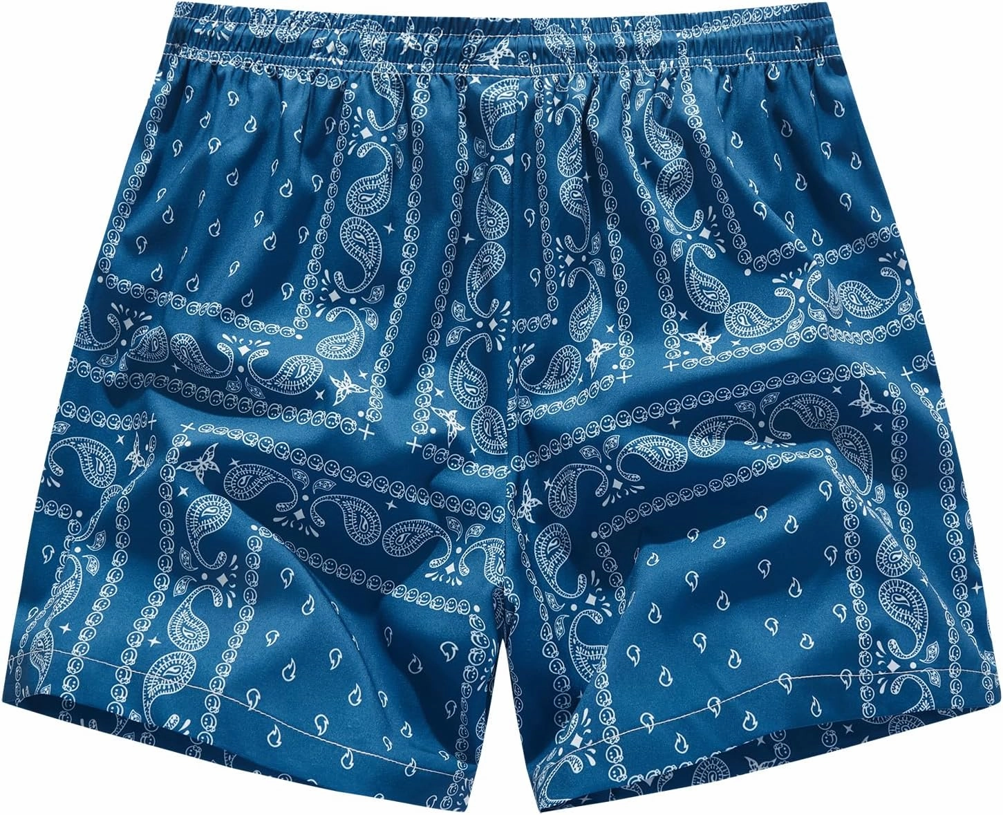 BOOMLEMON Men's Retro Paisley Shorts Mesh Print Casual Beach Shorts Athletic Gym Workout Running Short Pants