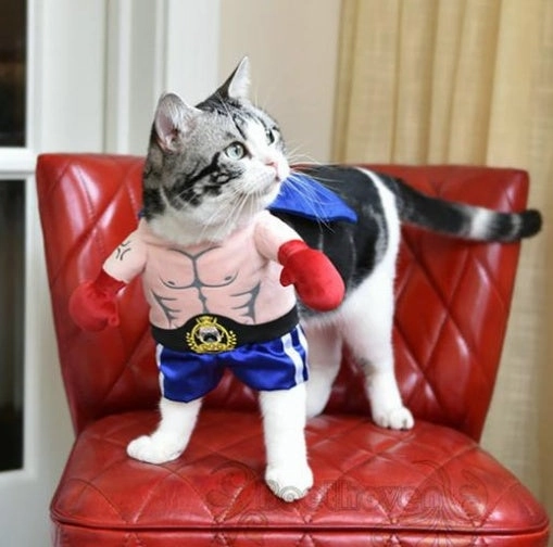Boxer Costume for Cats and Small Dogs