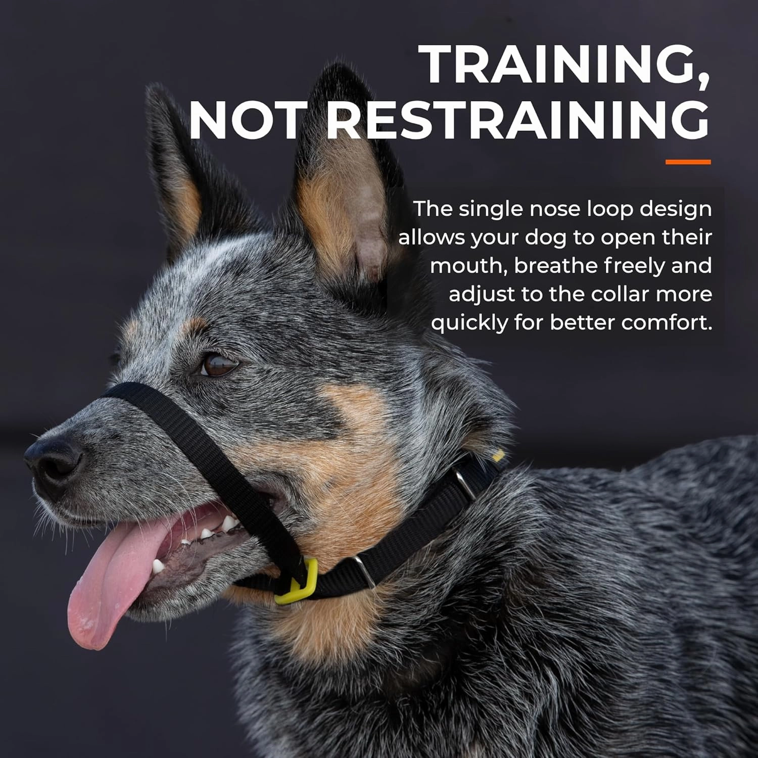 Canny Collar No-Pull Dog Head Collar – Gentle Dog Training Collar for Leash Pulling – Stops Pulling, Easy Control for Walking Large & Small Dogs – Comfortable & Humane Design