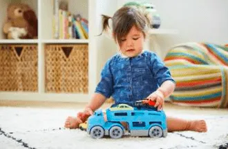 Car Carrier