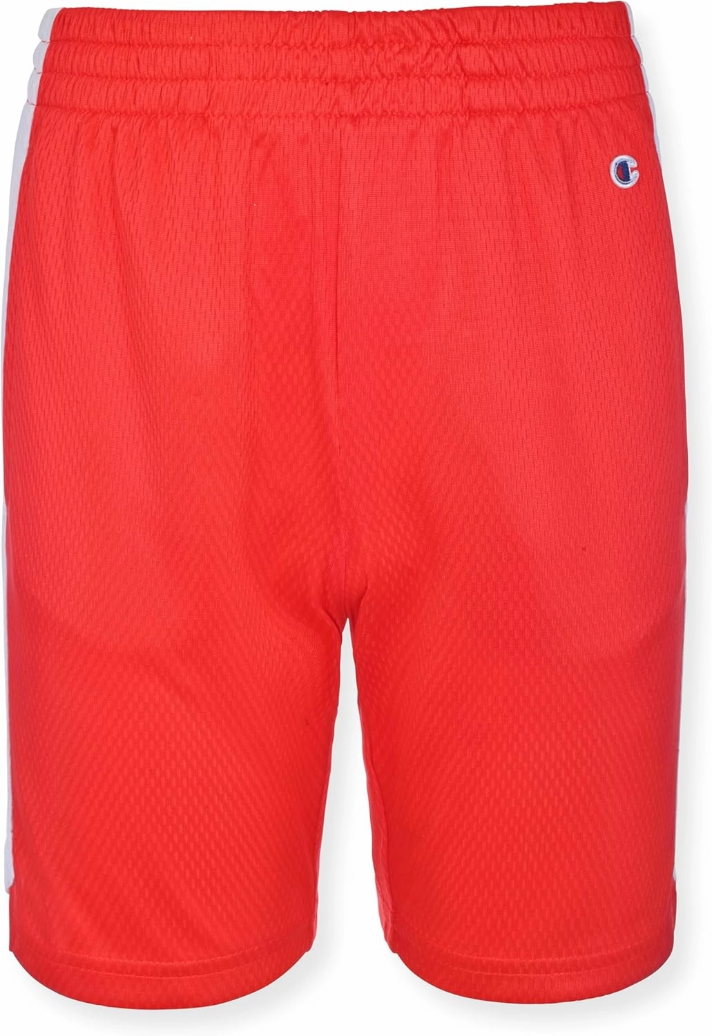 Champion Boys Hertiage Script Mesh Short