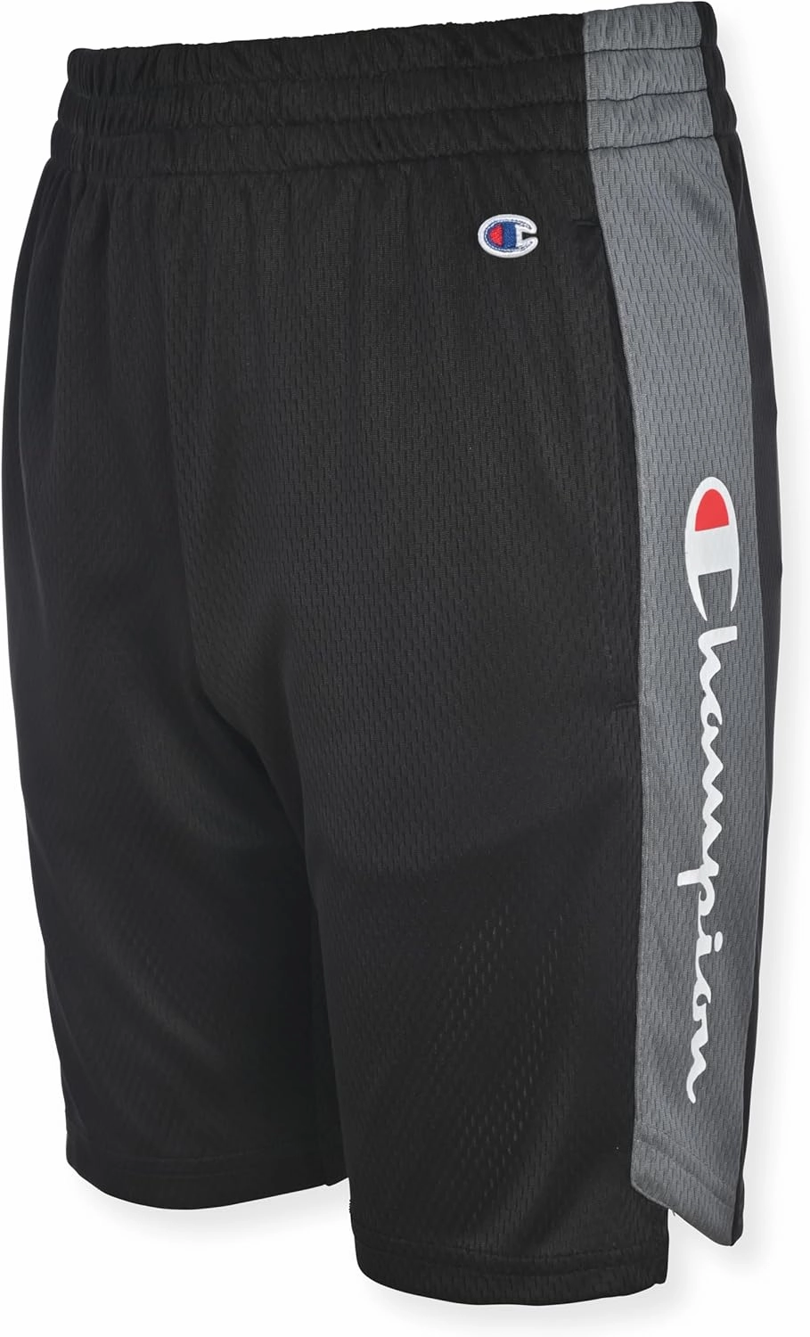 Champion Boys Hertiage Script Mesh Short