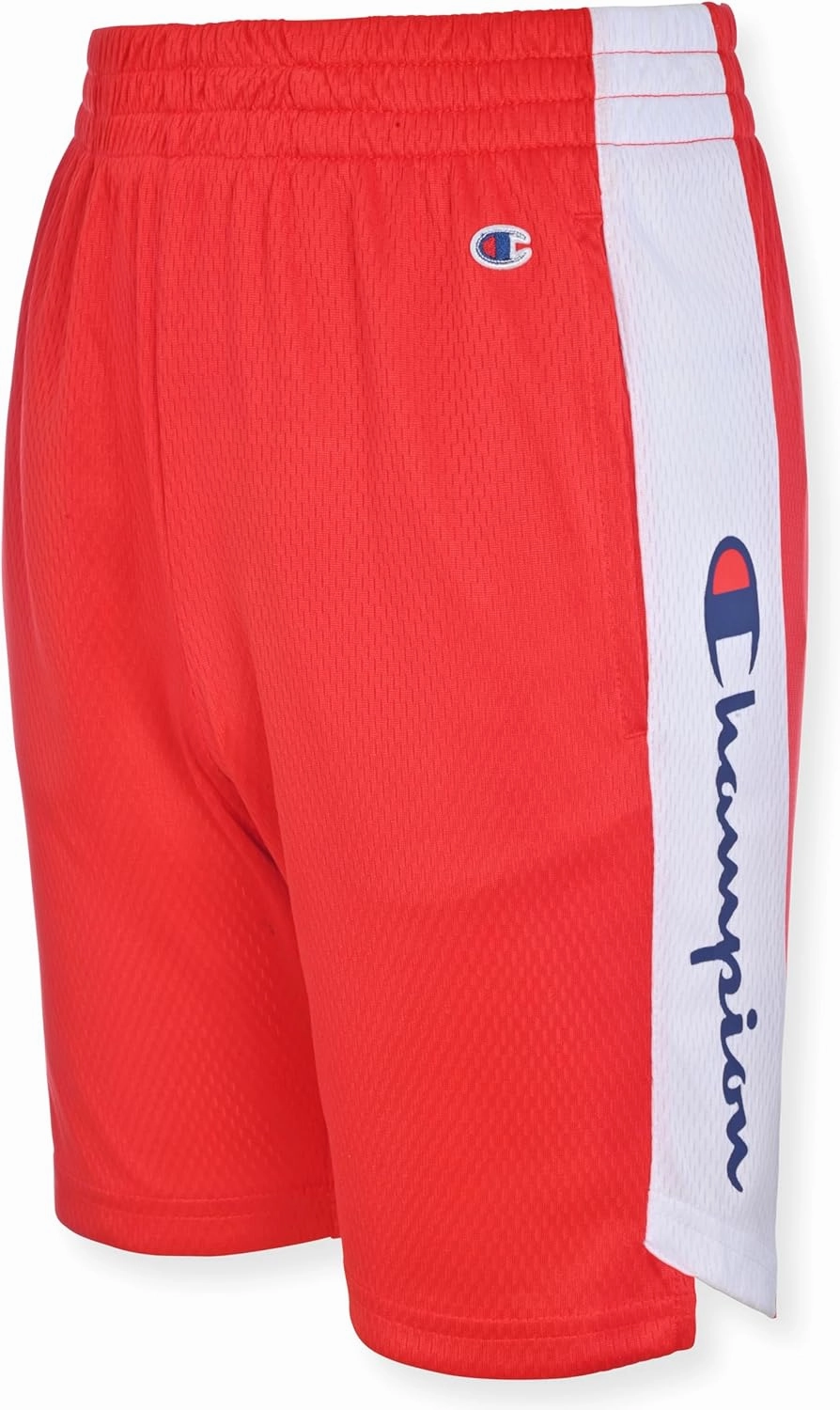 Champion Boys Hertiage Script Mesh Short