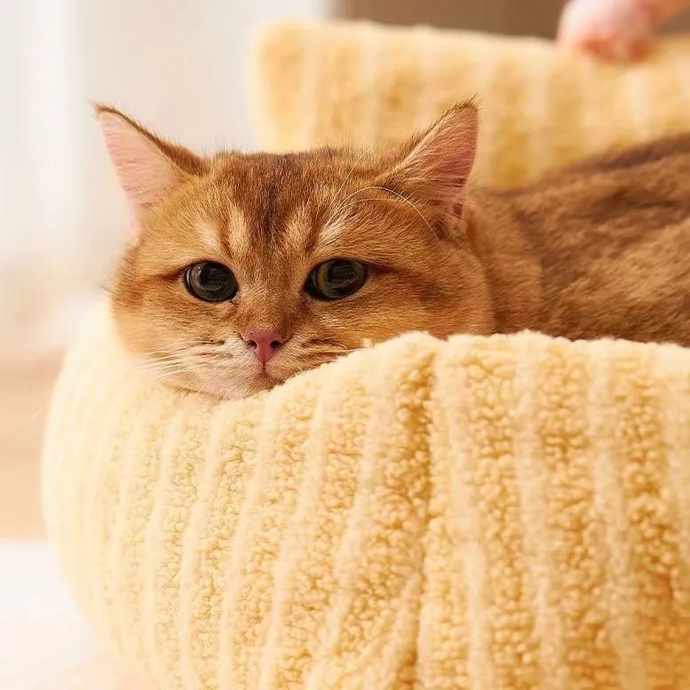 Creative And Cute Striped Pet Sofa Bed