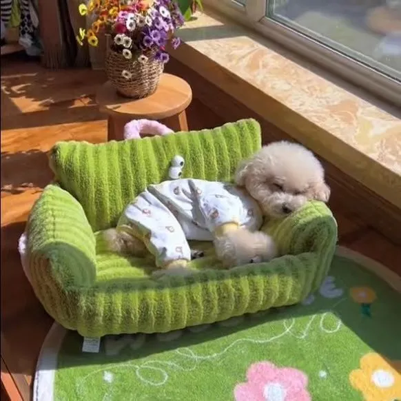 Creative And Cute Striped Pet Sofa Bed