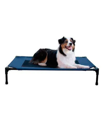 Creative Solutions Elevated Pet Bed