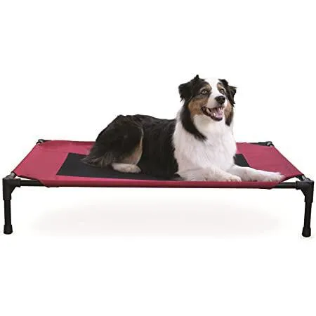 Creative Solutions Elevated Pet Bed