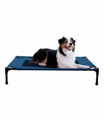 Creative Solutions Elevated Pet Bed
