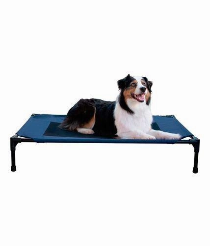 Creative Solutions Elevated Pet Bed