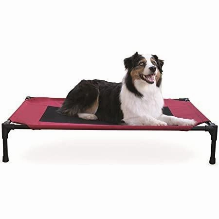 Creative Solutions Elevated Pet Bed