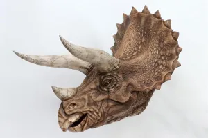 Dino Dream 1:5 Scale Triceratops Head Statue Dinosaur Figure Cretaceous Animal Science Art Model
