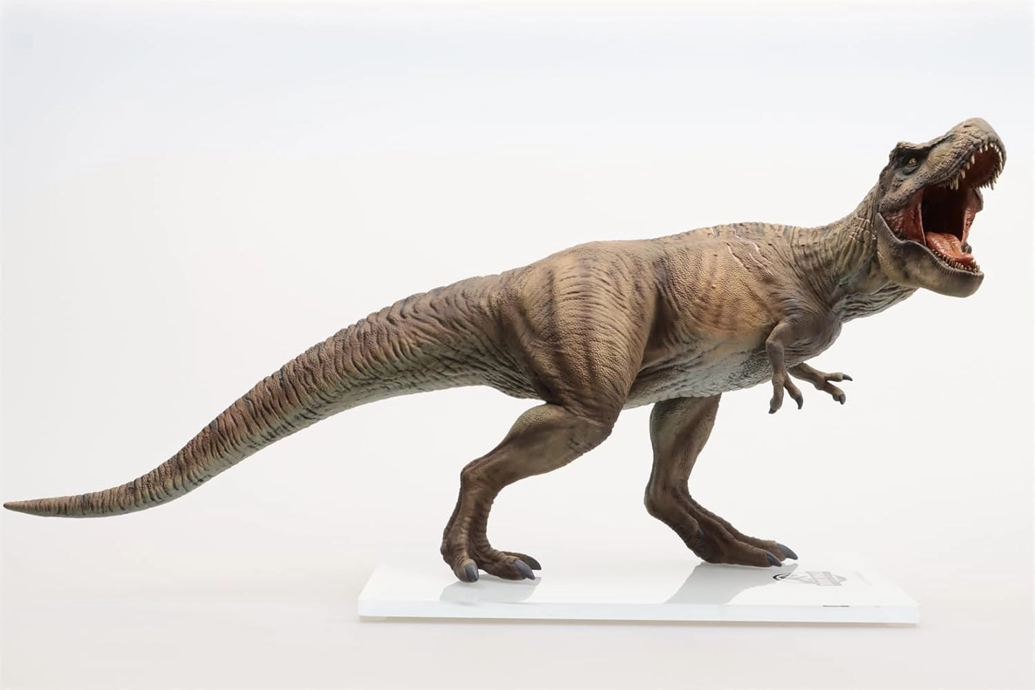 Dino Dream 1:30 Scale Tyrannosaurus Rex Figure
