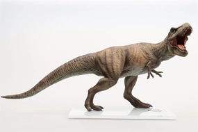 Dino Dream 1:30 Scale Tyrannosaurus Rex Figure