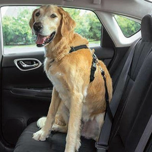 Dog Seat Belt for Car Set of 3 Dog Seatbelts with Elastic Bungee Buffer Adjustable Heavy Duty Pet Car Seat Belt Safety Leash