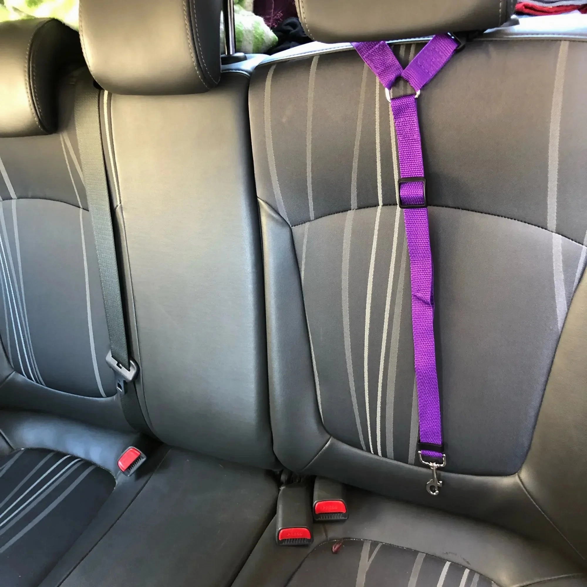 DogSafe Adjustable Seat Belt