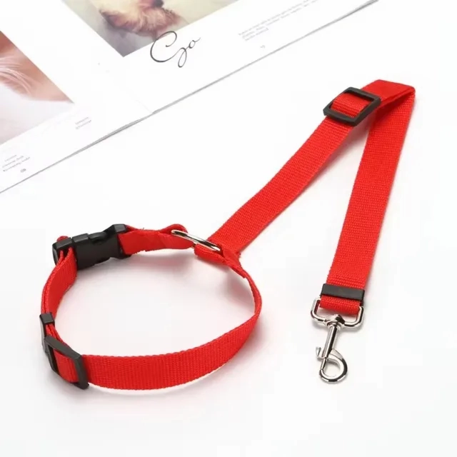 DogSafe Adjustable Seat Belt