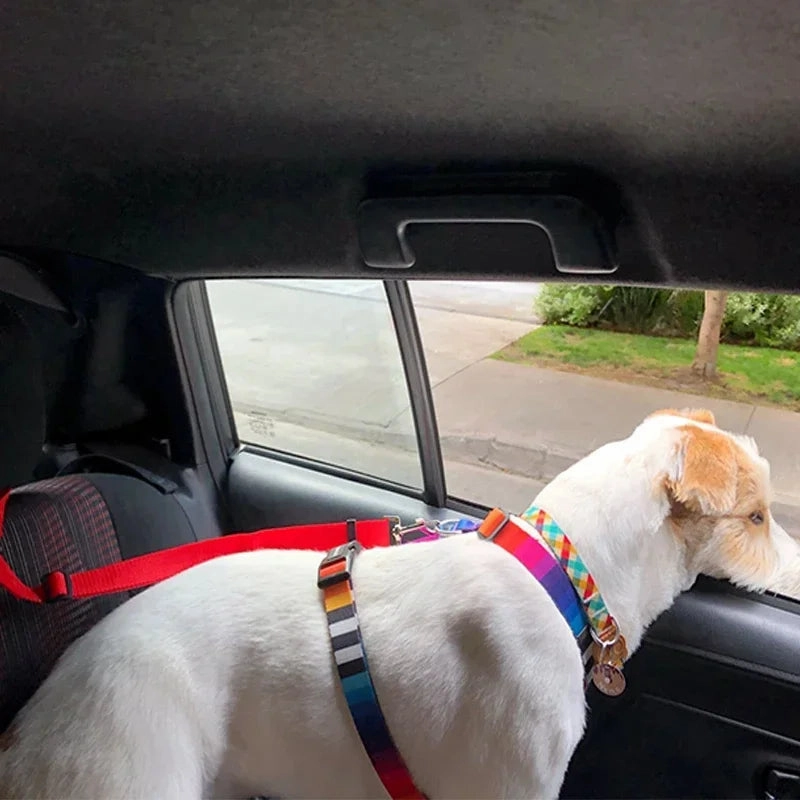 DogSafe Adjustable Seat Belt