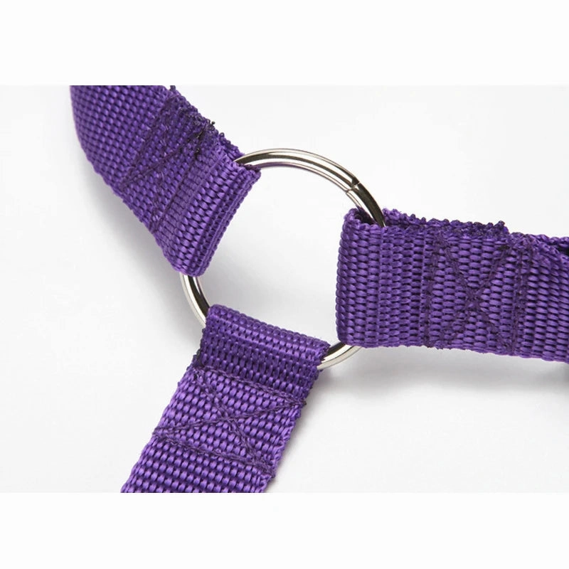 DogSafe Adjustable Seat Belt
