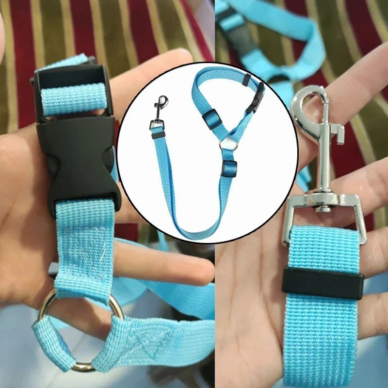 DogSafe Adjustable Seat Belt