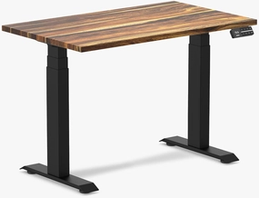 Dual Mini Electric Standing Desk, 40 x 24 Inch Hardwood Height Adjustable Sit Stand Desk with Dual Motor and Memory Presets, Compact Ergonomic Workstation for Home Office – Pheasantwood Finish