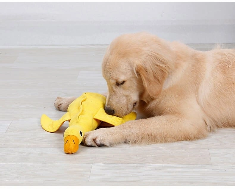 Duck-shaped Squeaky Pet Chew Toy