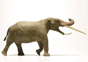 Eofauna 1:35 Scale Konobelodon Statue Mammuthus Figure Woolly Mammoth Realistic Elephantidae Collector Decor