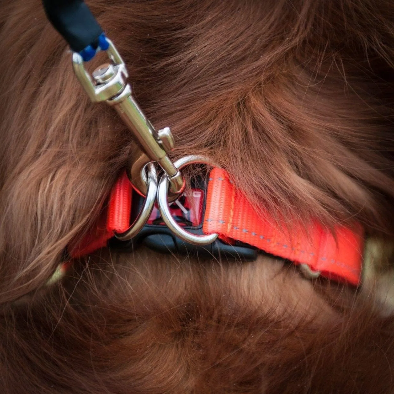 EzyDog Double Up Dog Collar – Double D-Rings for Superior Strength, Safety, and Comfort – Nylon Dog Collar with Reflective Trim and ID Attachment Point (Small, Red)