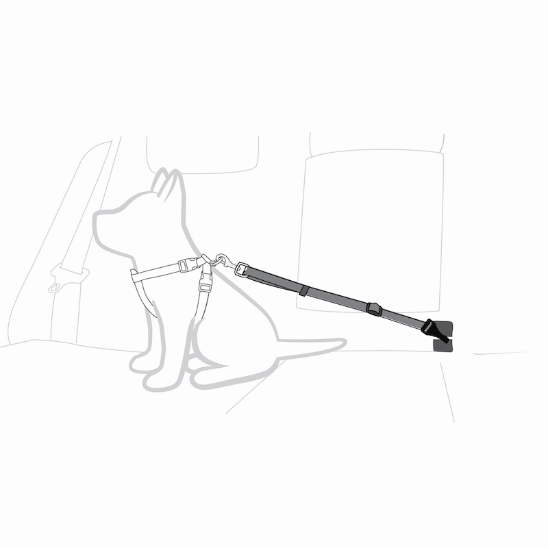Ezydog Isofix Adjustable Car Restraint