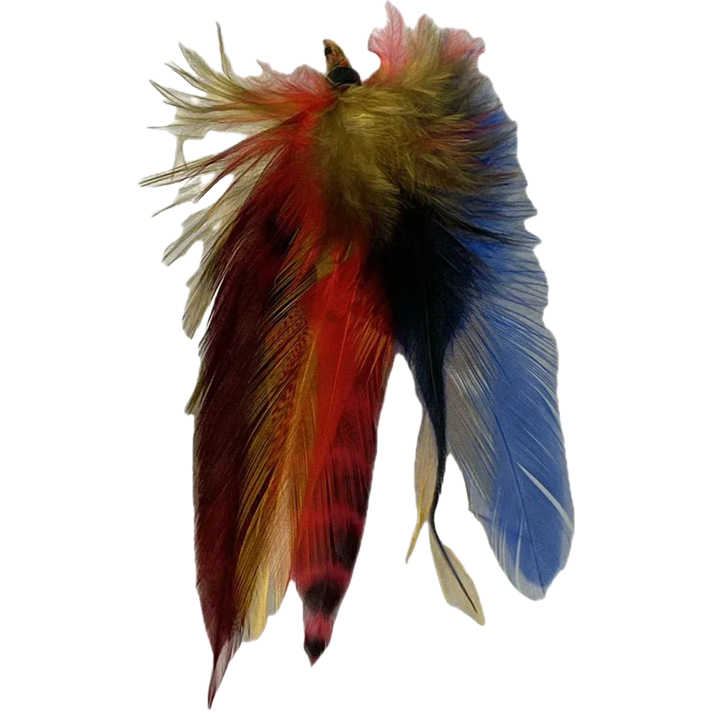 Feather Extension Blue McCaw (Pack of 10) by A Creative Collection