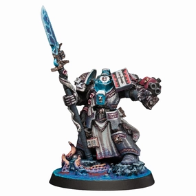 Grey Knights Brother Captain Grey Knights Armies of the Imperium Painted Miniature Wargaming Figure | Art Painting Level