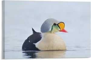 Jigsaw Puzzle 500 Piece Adult Puzzle Water King Eider Pet Duck Christmas Adult Kids Intelligence Game Toy Family Friend Puzzle Gift