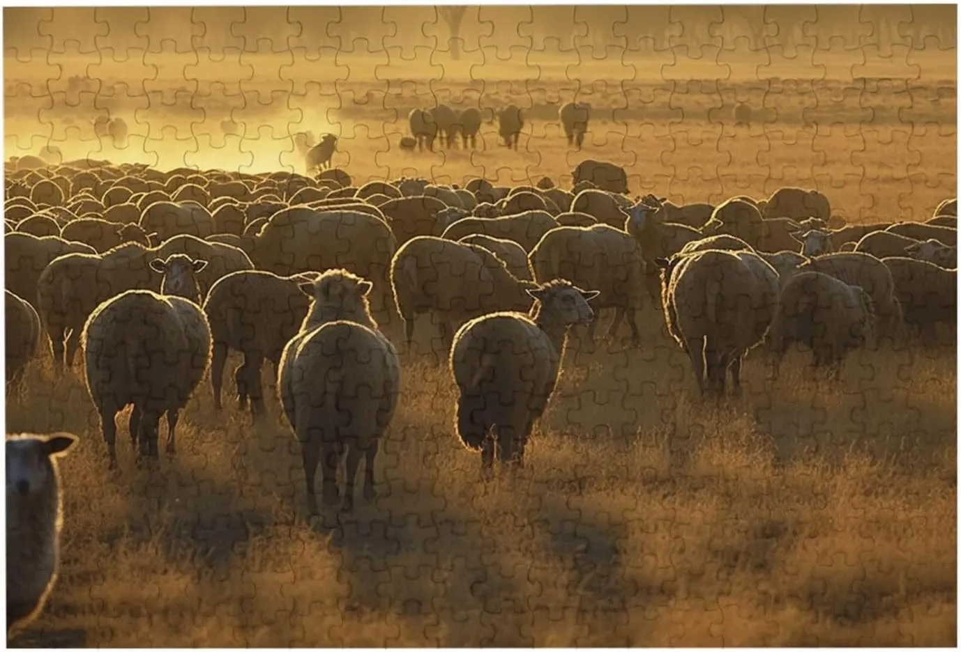 Jigsaw Puzzle Personalized 300 Pieces Puzzles with Storage Bag Sheeps in Field Photos Puzzles Wooden Home Decor Wall Art Custom Picture Puzzle Gift for Wedding Birthday Couple Lovers 10.2"x15"