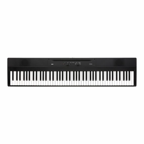 Korg L1 Liano portable digital piano