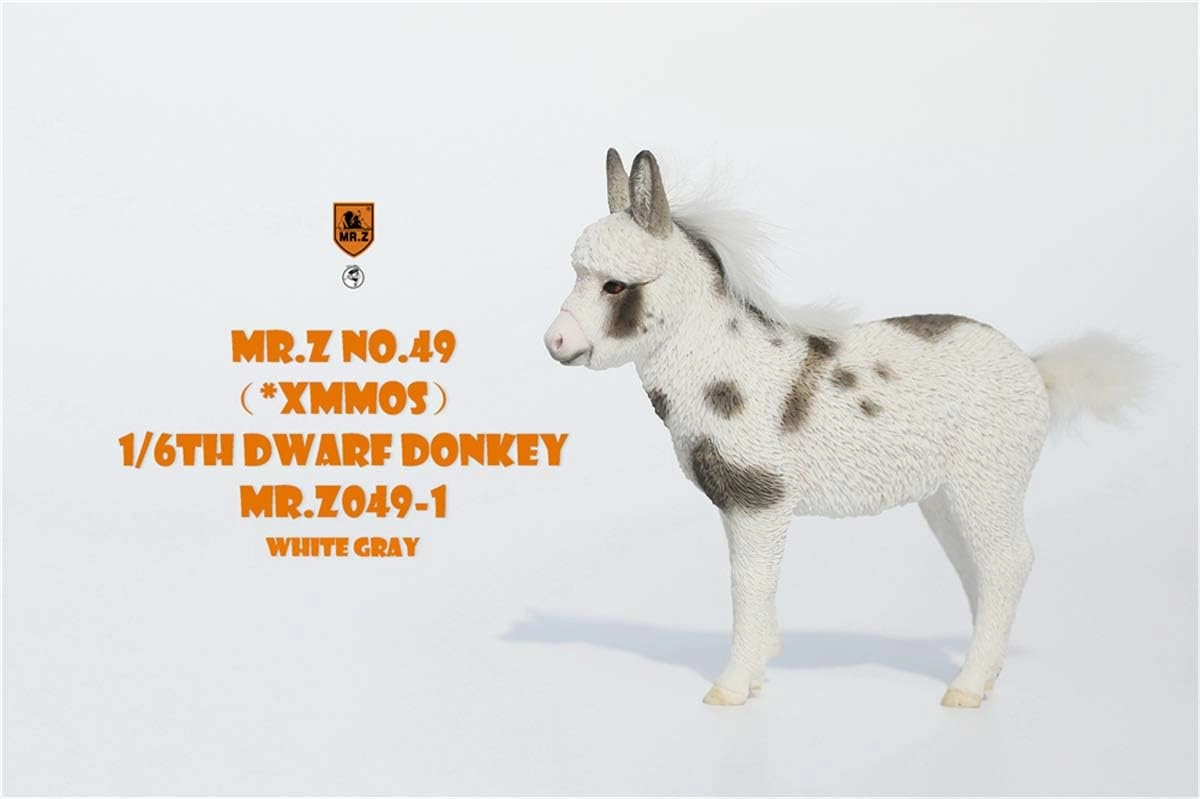 Mr.Z 1/6 Dwarf Donkey Statue Realistic Educational Equidae Animal Model Resin Toys Collector Home Decoration Birthday Gift for Adult (Mr.Z049-1)